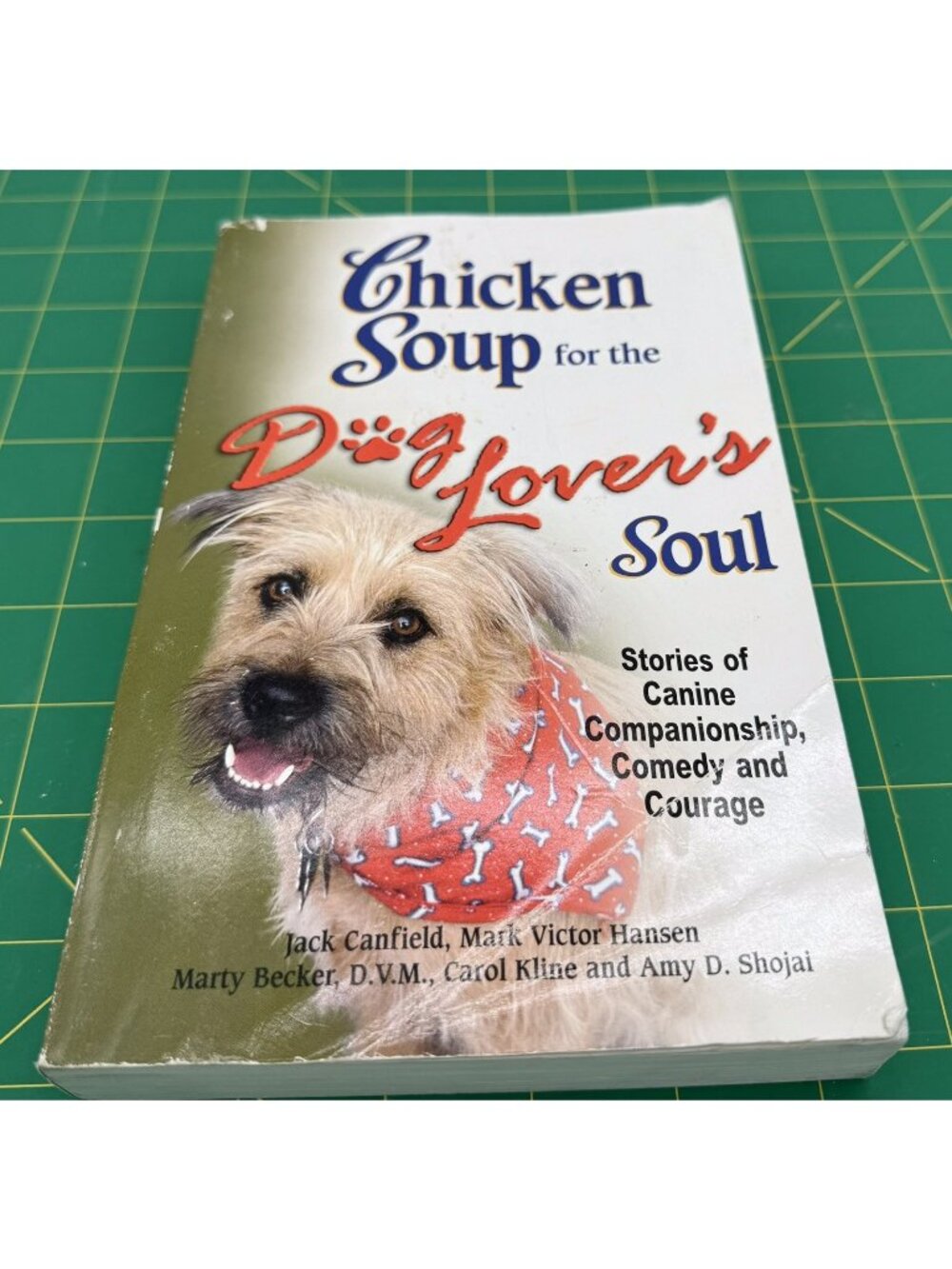 Chicken Soup for the Dog Lover's Soul Chicken Soup for the SoulBook READ